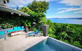 Art Gallery House With A Small Relaxing Pool